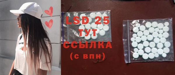 прущие грибы Кодинск