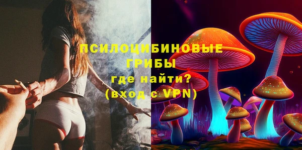 прущие грибы Кодинск