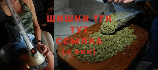 прущие грибы Кодинск