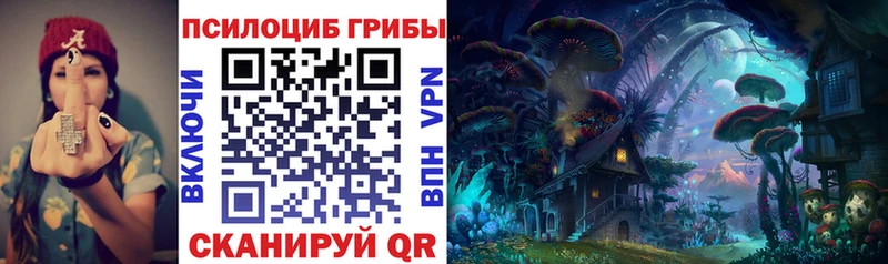 Псилоцибиновые грибы прущие грибы  Купить закладки  Западная Двина 
