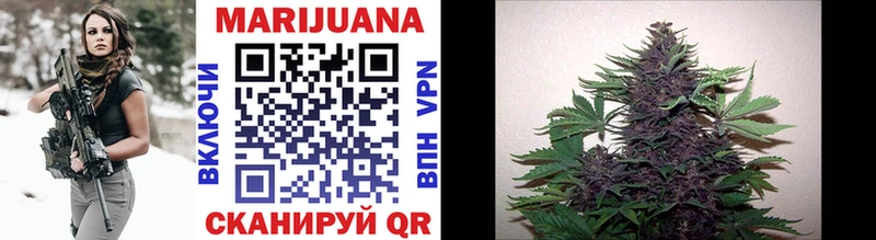Купить  Западная Двина  Марихуана OG Kush 